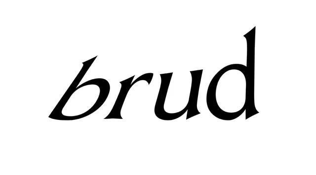 Visual published with the cited source for this record: Dapper Labs dated its Brud acquisition to October 2021